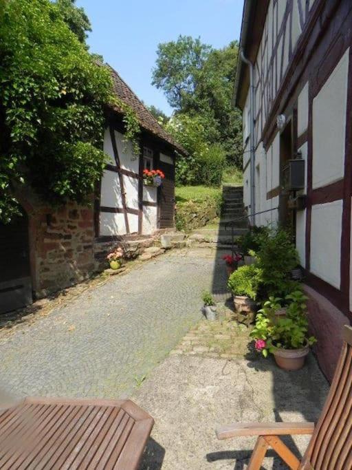 Ferienwohnung Tiererlebnishof Obermuehle Biebergemund Dış mekan fotoğraf